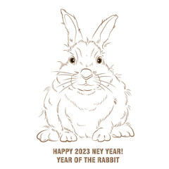 The rabbit is a symbol of the Chinese New Year 2023.
 Holiday card, vector illustration of the zodiac sign Rabbit.