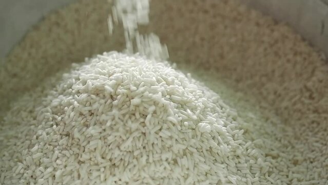 rice that flows down from rice milling machine. Hand waiting to receive riceberry from a rice milling machine.