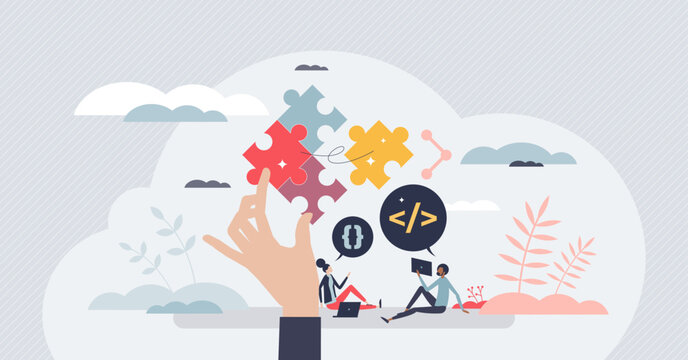 Software developers and programming language coding tiny person concept. Professional website or application script writer with job experience vector illustration. CSS process for website optimization