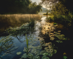 morning on the river
