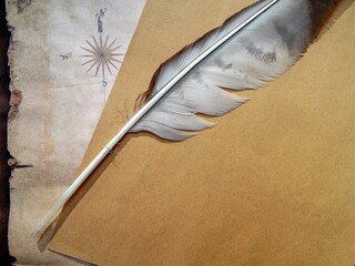 old blank sheet of paper and eagle feather for writing on the background of an old map
