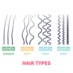 Straight, wavy, curly, kinky hair types classification system set. Detailed human hair growth style chart. Health care and beauty concept. Vector illustration.