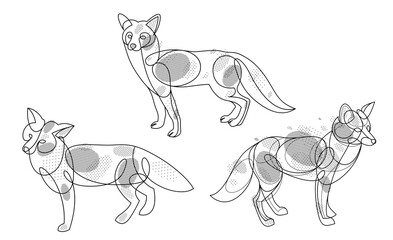 Red fox linear vector illustrations set isolated, cute wild animal wildlife adorable canine, monochrome artistic drawings.