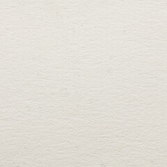 Watercolor paper texture. Paper texture for use as a background
