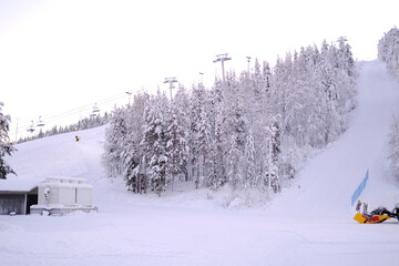 snow-covered fluffy fir trees, spruce in snow, ski resort, toboggan run, funicular cabins go...