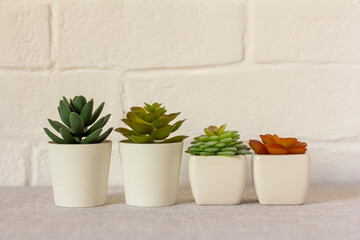 Indoor artificial plants, various succulents in pots. Succulents in white mini-pots. Ideas for home decoration.Copy space.