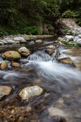 Tusciano river forest scenery in cilento
