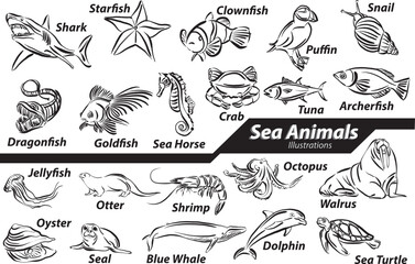 set collection drawings sea animals wild life ocean water lifestyle design vector illustration © moniqcca