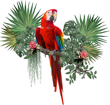 Low polygon illustration Amazon rain forest macaw bird.