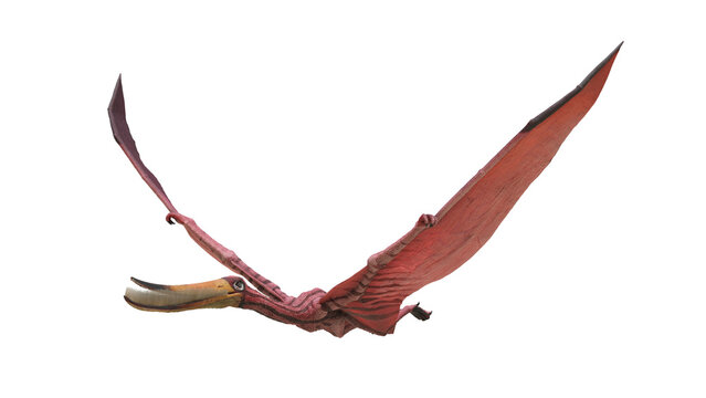 dinosaur illustration