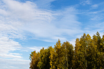 Fototapeta na wymiar treetops in autumn colors against the blue sky background