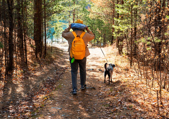 Rear view young woman with yellow backpack walking mixed breed dog with bedlington whippet through autumn forest towards lake pet adoption traveling with dog