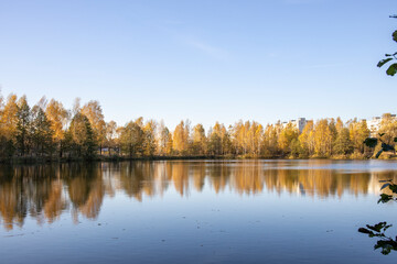 Fototapeta premium Autumn landscape with a pond. Trees with yellow foliage are reflected in the water.