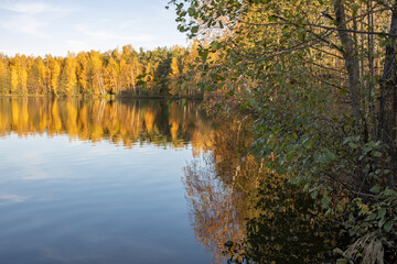 Autumn landscape with a pond. Trees with yellow foliage are reflected in the water.