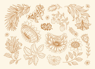 Collection vintage floral motif. William Moriss style art and craft movement. Design outline flower symbol.