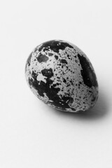 black and white quail eggs
