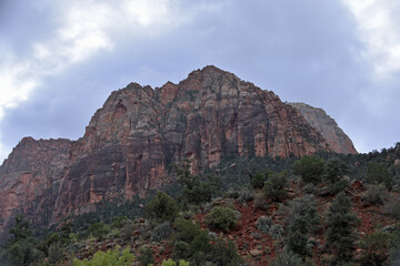 Fototapeta na wymiar Mountain in Zion