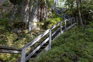 Wooden stairs leading up the hill on a hiking trail in a Finnish forest, Repovesi National Park in Kouvola