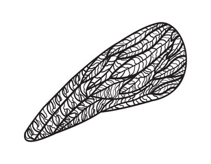 Angel wing. Outline drawing on a white background.Vector illustration.300 dpi.