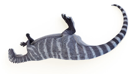 dinosaur illustration