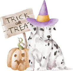 Dalmatian puppy with pumpkin halloween illustration