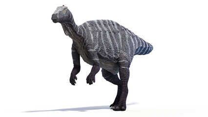 dinosaur illustration