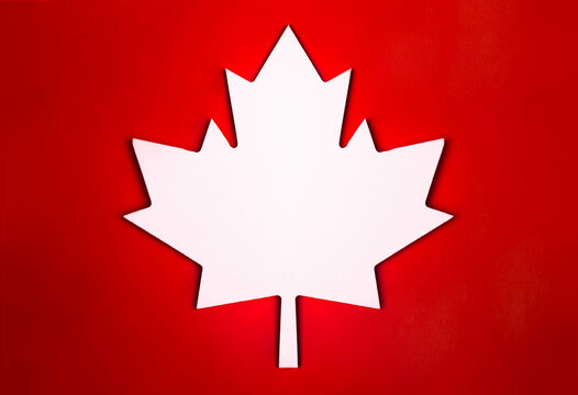 White maple leaf on a red background. The Canadian symbol, icon.