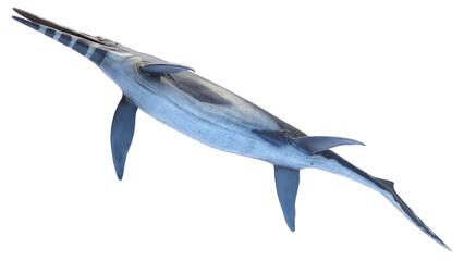 dinosaur illustration