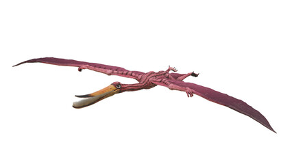 dinosaur illustration