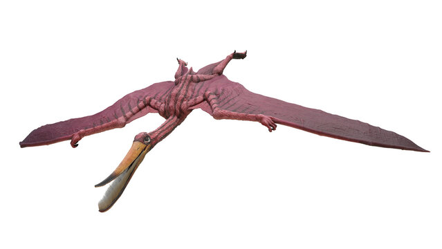dinosaur illustration