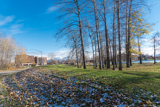 Lakeside Trail Covered With Snowy Fallen Brown Leaves Leading To Apartment Building Complex And Sea Planes Base In Lake Spenard, Anchorage, Alaska