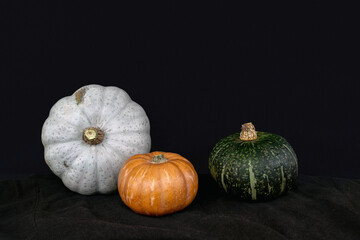 colorful fresh pumpkins on black background 