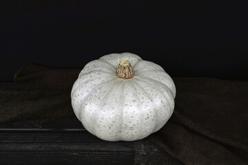 grey skin "Crown prince" pumpkin with black background 