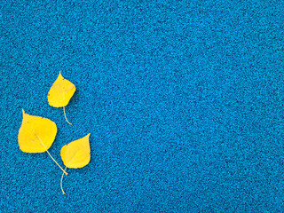 Light blue or blue background with yellow autumn leaves. Blue gravel. Autumn weather, brighter days. Suitable for postcards, promotions, websites, printing, social networks.