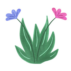 Flowers Grass Watercolor Clipart