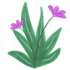 Flowers Grass Watercolor Clipart