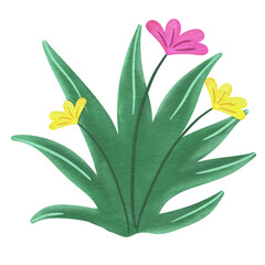 Flowers Grass Watercolor Clipart