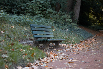bench in autumn park
