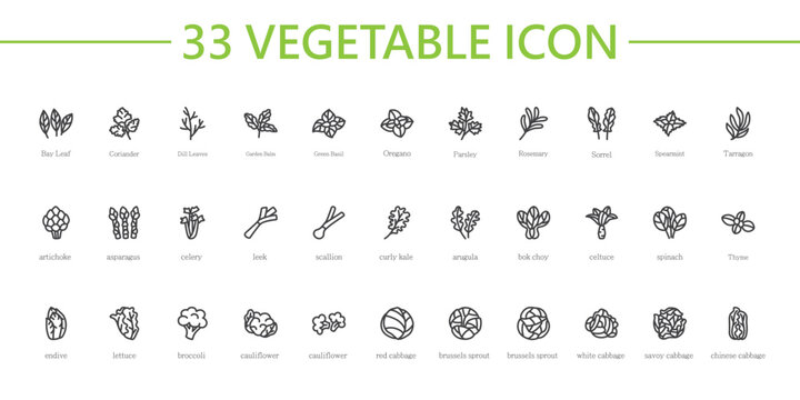 Vegetables icon isolated on white background. Outline icon.