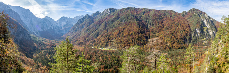 Colorful beech forest in Logar valley, Slovenia