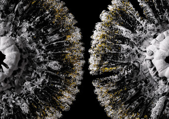 3d render of abstract art 3d background with parts of surreal blossom alien flower or round explosive smoke structure based on balls spheres sand particles in black yellow white silver grey color 