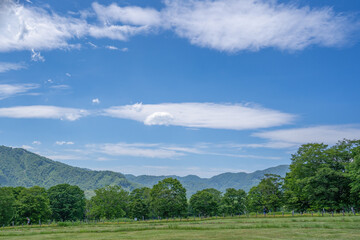 笹ヶ峰から山々を眺める(7月)