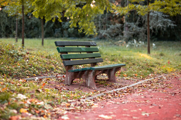 green bench in autumn park