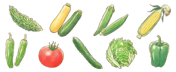 水彩の夏野菜9点セット（背景透過）