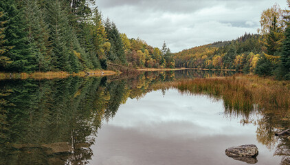 Autumnal Reflection in the Gwydir Forest