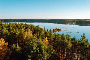 Obraz premium A bird's eye view of a forest and island on Baltieji Lakajai Lake in Labanoras Regional Park, Lithuania.