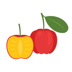 Acerola cherry whole fruit and half isolated on white background. Malpighia emarginata, West Indian, Guarani or Barbados cherry icon. Vector illustration of tropical exotic fruits in flat style.