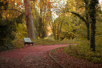 bench in autumn forest