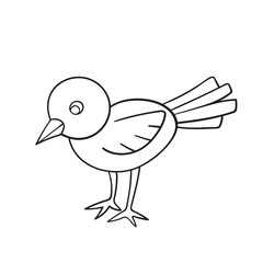 Isolated vector illustration of bird. Cute thin line icon for design, cover etc.
