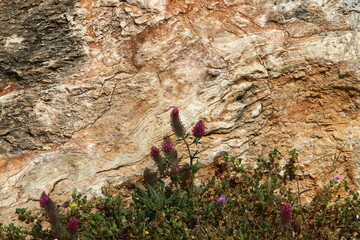 Texture of large stones and mountain rocks.